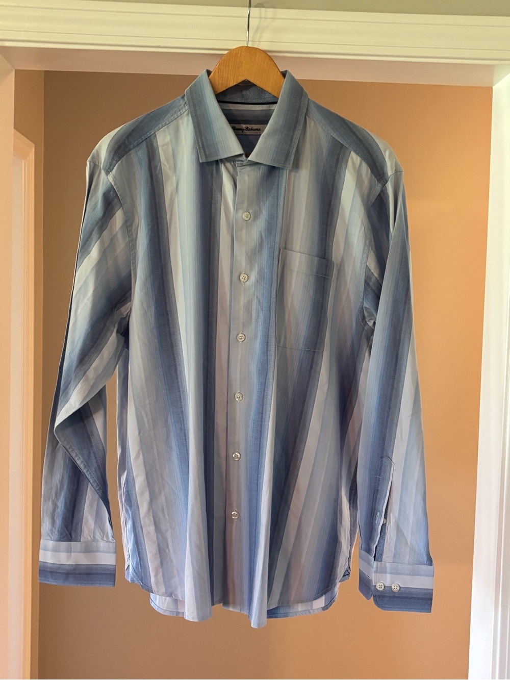 Tommy Bahama Blue and White Vertical Stripe Dress Shirt